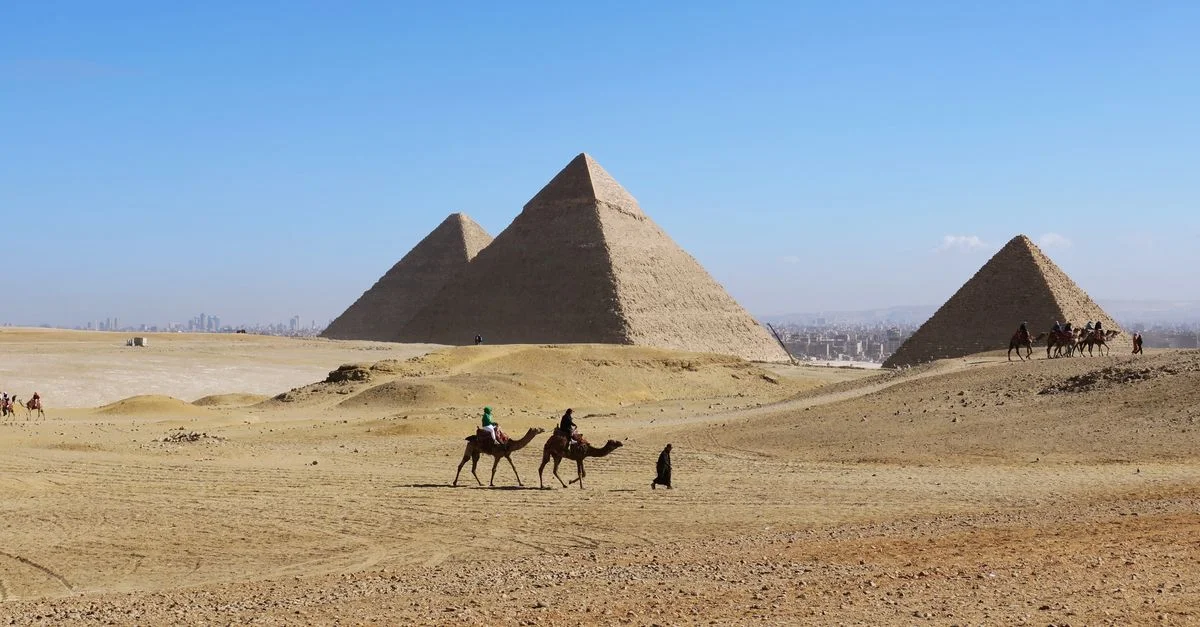 Des chameaux traversent les sables près des emblématiques pyramides de Gizeh, symbole de l'Égypte ancienne, sous un ciel clair.
