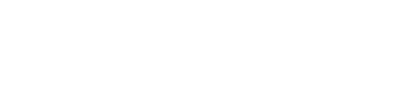 lilibuznet