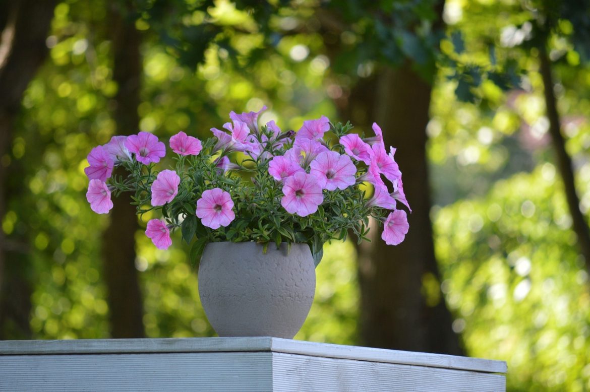 8 conseils de jardinage floral pour concevoir un beau paysage